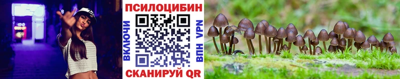 Псилоцибиновые грибы Psilocybine cubensis  дарнет шоп  blacksprut ONION  Тобольск 