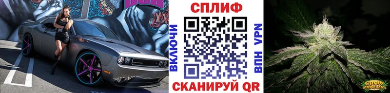 ссылка на мегу рабочий сайт  Тобольск  Канабис марихуана 